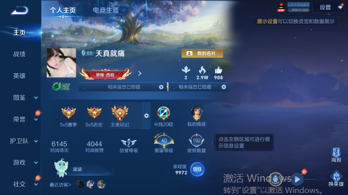 WZQM4552116王者荣耀账号详情图2