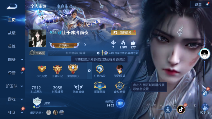 WZQM4554166王者荣耀账号详情图2