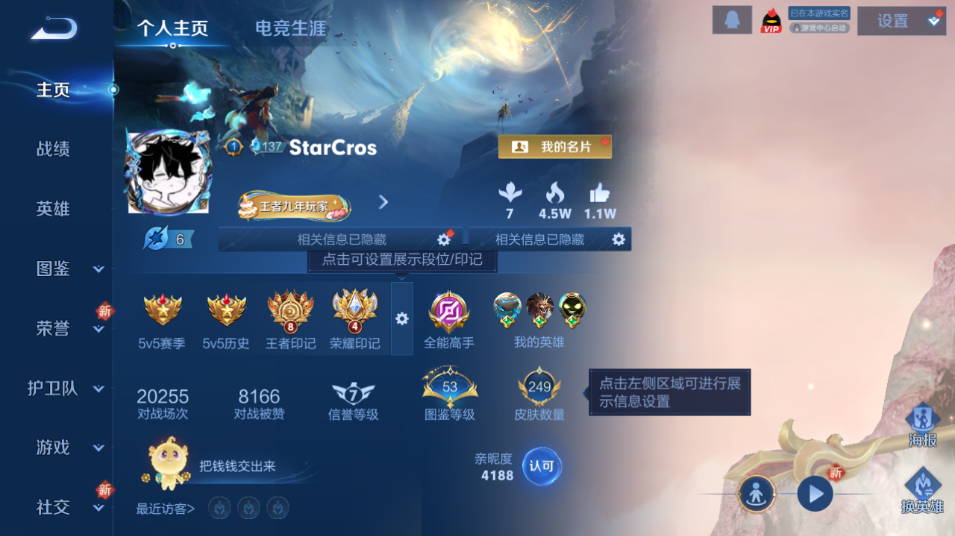 WZQM3474945王者荣耀账号详情图2