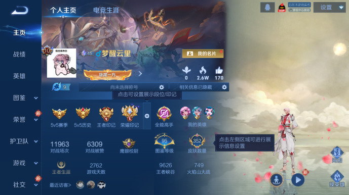 WZQM478114王者荣耀账号详情图2