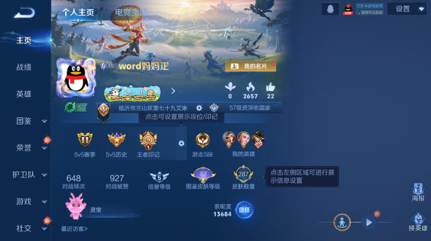 WZQM484325王者荣耀账号详情图2