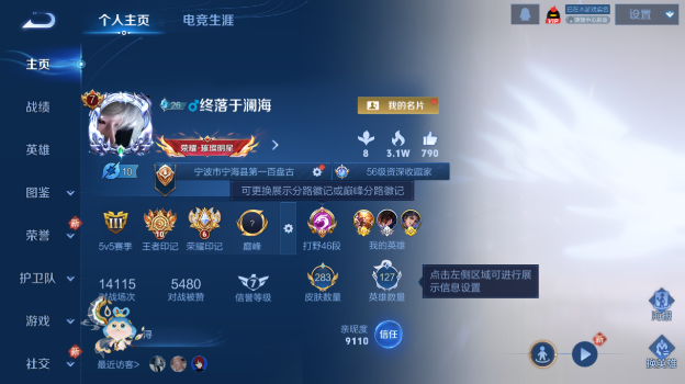 WZQM484309王者荣耀账号详情图2