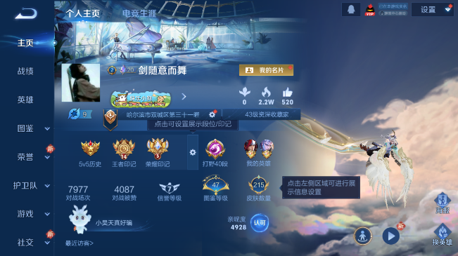 WZQM484245王者荣耀账号详情图7