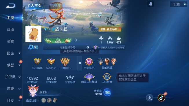 WZQM489433王者荣耀账号详情图2