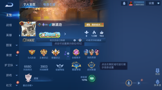 WZQM489263王者荣耀账号详情图2