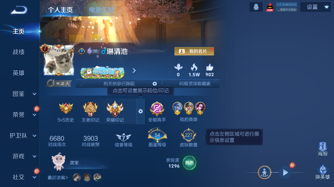 WZQM489263王者荣耀账号详情图6