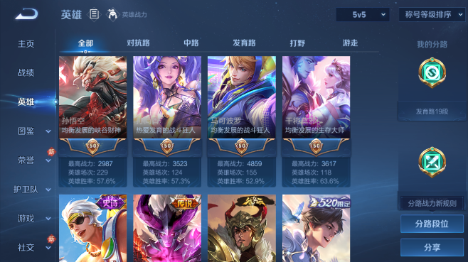 WZQM493190王者荣耀账号详情图6