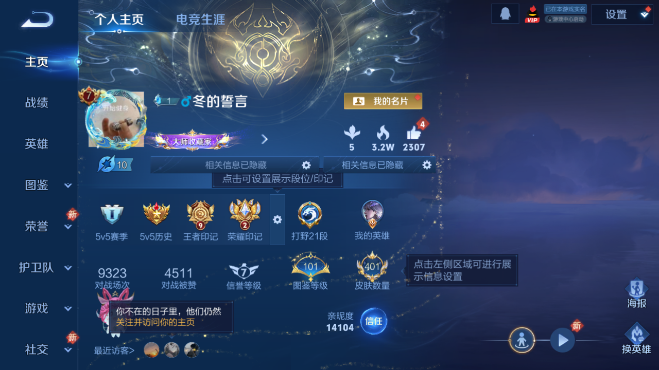 WZQM4104093王者荣耀账号详情图2