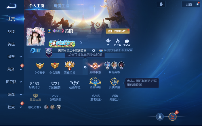 WZQM4107233王者荣耀账号详情图2