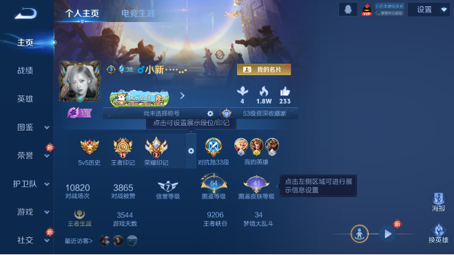 WZQM4111454王者荣耀账号详情图2