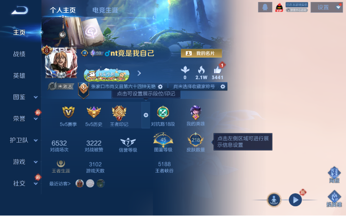 WZQM4134210王者荣耀账号详情图2