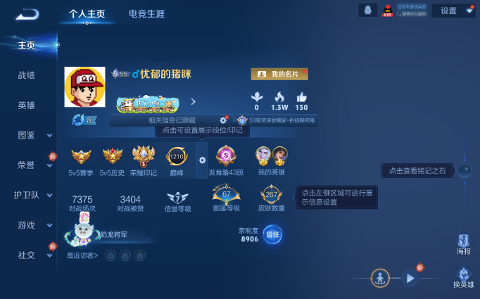 WZQM4138008王者荣耀账号详情图2