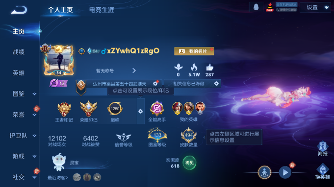 WZQM4184727王者荣耀账号详情图2