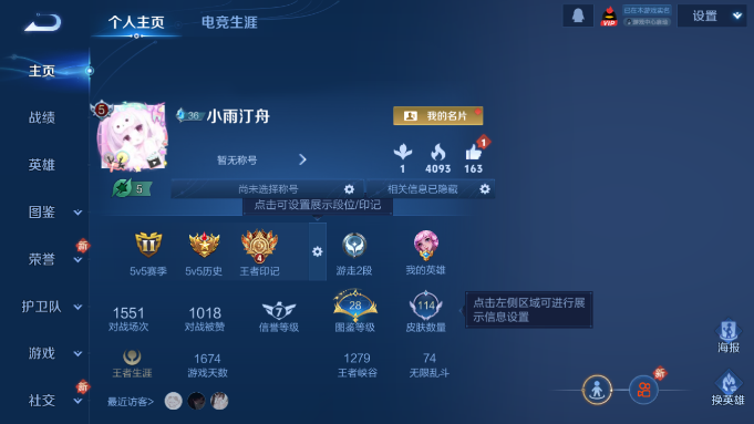 WZQM4190596王者荣耀账号详情图2