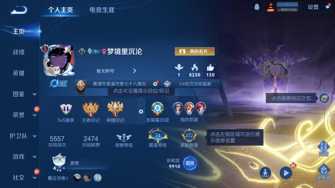 WZQM4193196王者荣耀账号详情图2