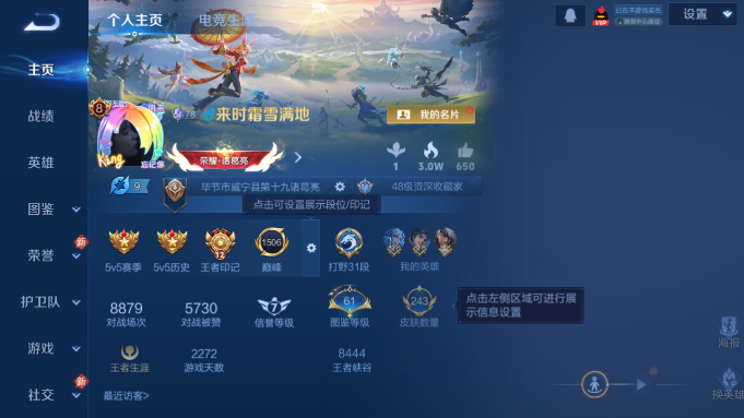 WZQM4193206王者荣耀账号详情图2 WZQM4193206王者荣耀账号详情图2