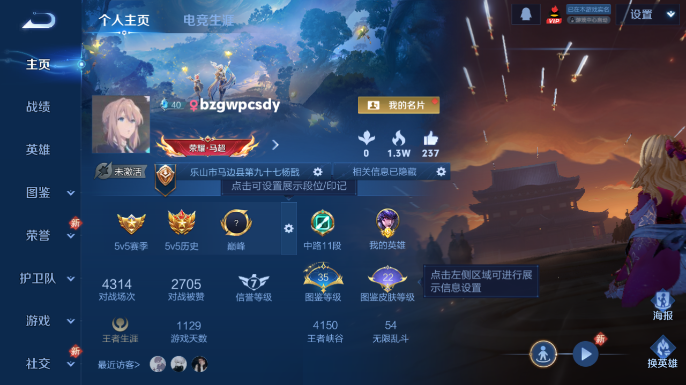 WZQM4213577王者荣耀账号详情图2