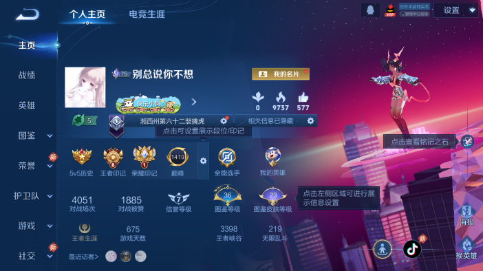 WZQM4207207王者荣耀账号详情图2