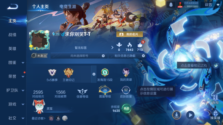 WZQM4210835王者荣耀账号详情图2