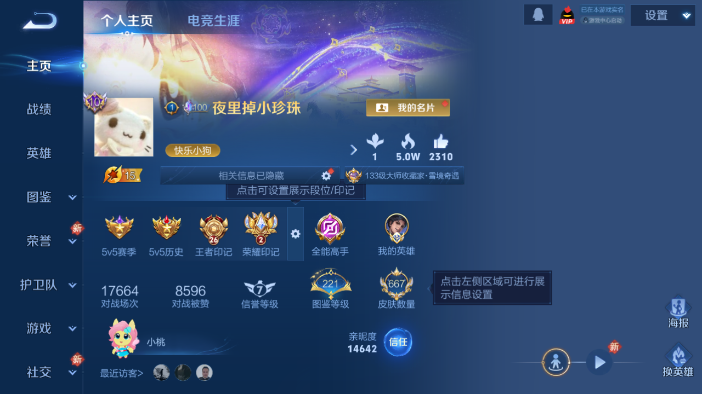 WZQM4214236王者荣耀账号详情图2 WZQM4214236王者荣耀账号详情图2