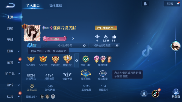 WZQM4214278王者荣耀账号详情图2