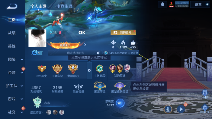 WZQM4214253王者荣耀账号详情图2