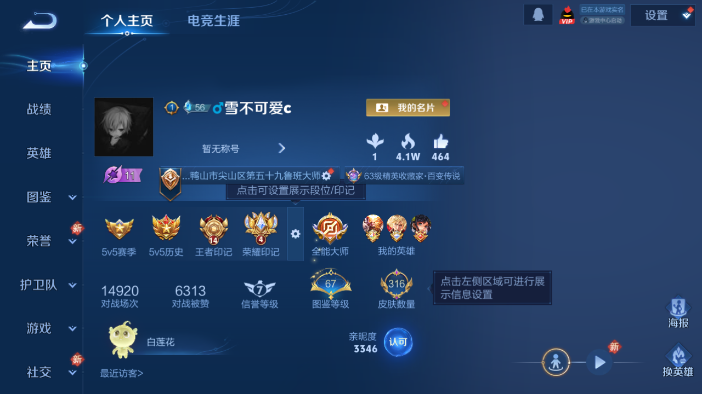 WZQM4218421王者荣耀账号详情图2