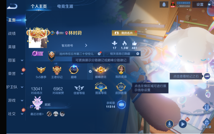 WZQM4216498王者荣耀账号详情图2