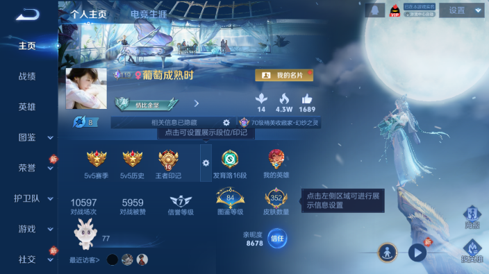 WZQM4234171王者荣耀账号详情图2 WZQM4234171王者荣耀账号详情图2