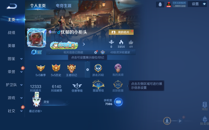 WZQM4253469王者荣耀账号详情图2