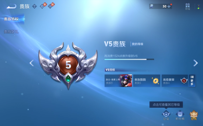 WZQM4276873王者荣耀账号详情图14