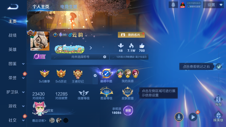 WZQM4276933王者荣耀账号详情图2