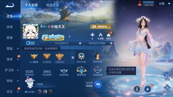 WZQM4420745王者荣耀账号详情图2 WZQM4420745王者荣耀账号详情图2
