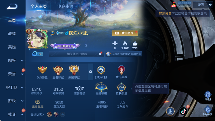 WZQM4434194王者荣耀账号详情图2 WZQM4434194王者荣耀账号详情图2