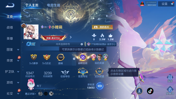 WZQM4478496王者荣耀账号详情图2 WZQM4478496王者荣耀账号详情图2