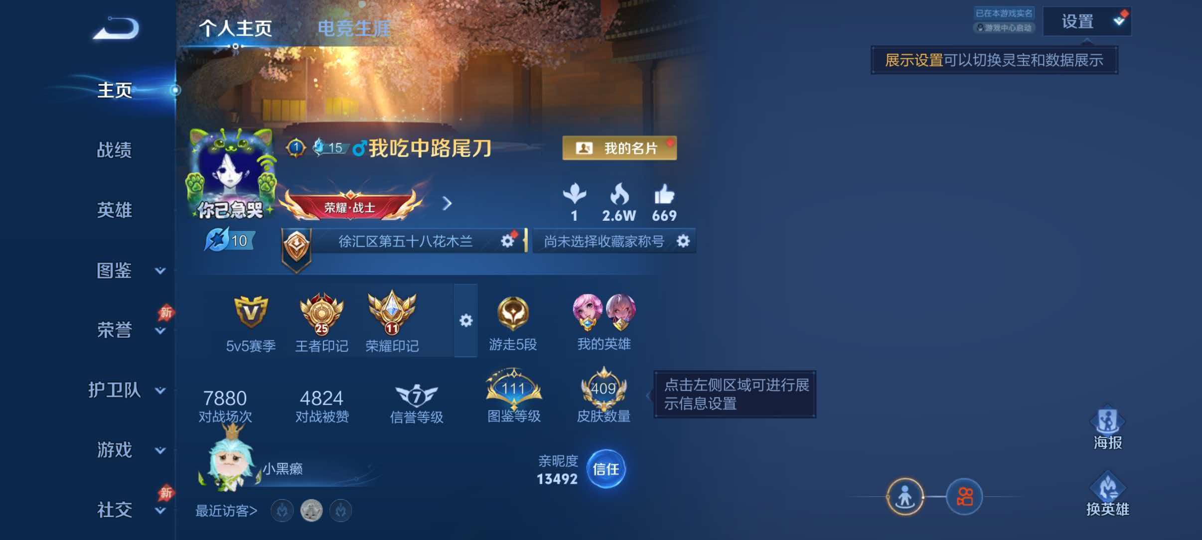 WZQM4494119王者荣耀账号详情图2 WZQM4494119王者荣耀账号详情图2