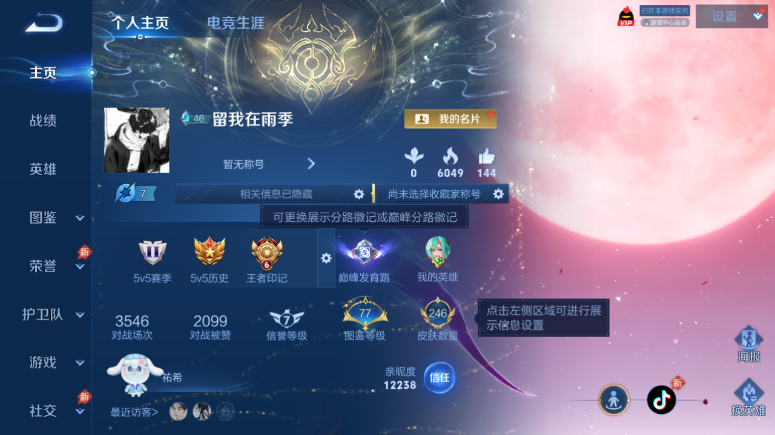 WZQM4509305王者荣耀账号详情图2