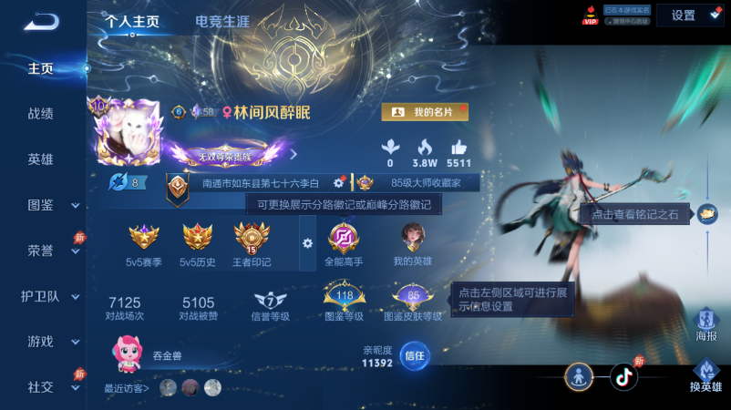 WZQM4523890王者荣耀账号详情图2 WZQM4523890王者荣耀账号详情图2
