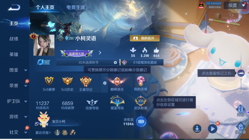 WZQM4523935王者荣耀账号详情图2 WZQM4523935王者荣耀账号详情图2