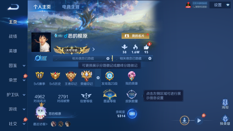 WZQM4535809王者荣耀账号详情图2 WZQM4535809王者荣耀账号详情图2