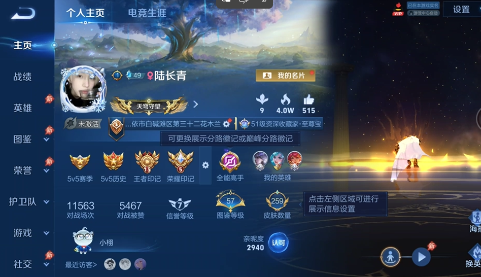 WZQM4542168王者荣耀账号详情图2 WZQM4542168王者荣耀账号详情图2