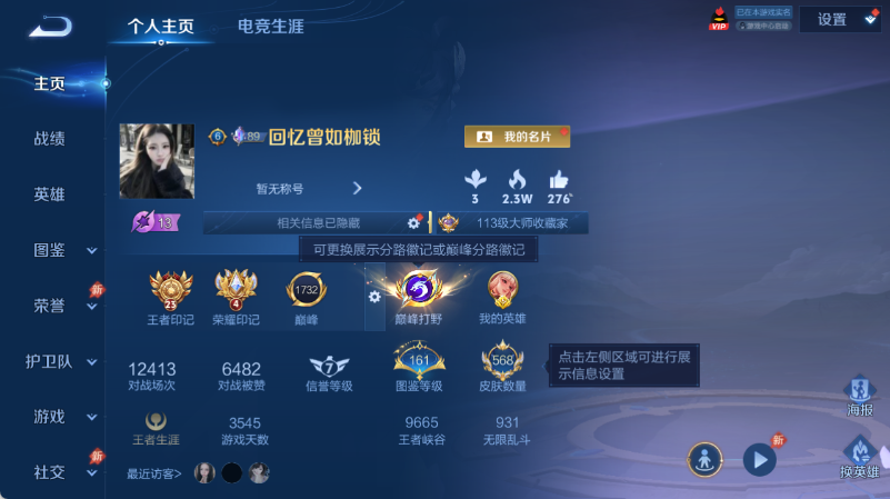WZQM4549856王者荣耀账号详情图2 WZQM4549856王者荣耀账号详情图2