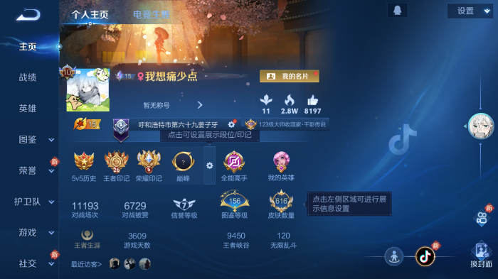 WZQM433523王者荣耀账号详情图2 WZQM433523王者荣耀账号详情图2