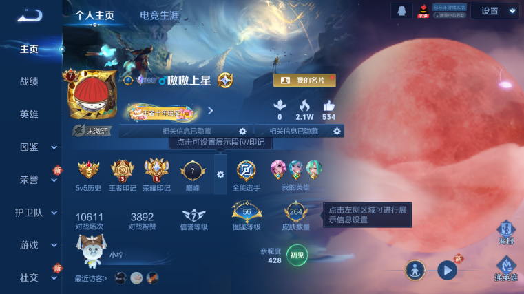 WZQM412712王者荣耀账号详情图2