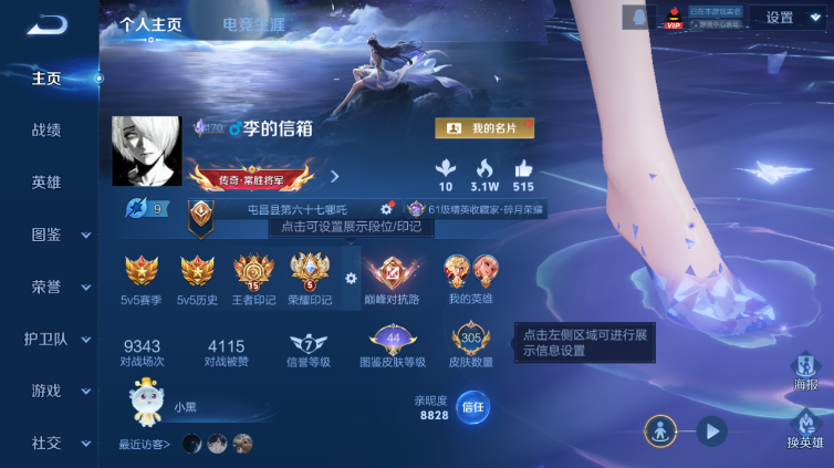 WZQM423926王者荣耀账号详情图2