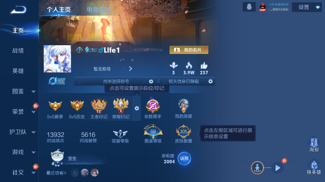 WZQM451529王者荣耀账号详情图2