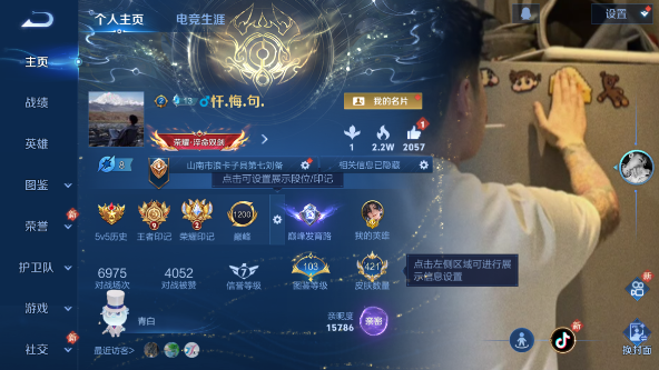 WZQM461340王者荣耀账号详情图2