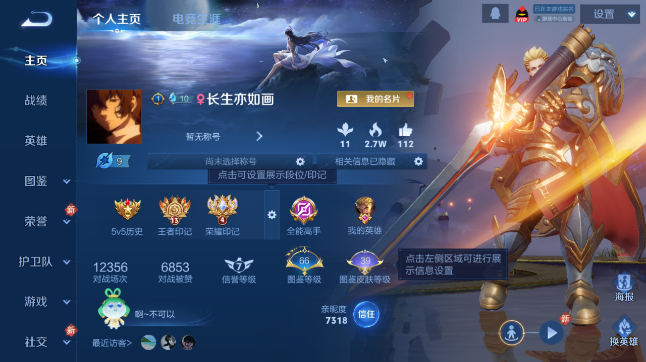 WZQM447385王者荣耀账号详情图2