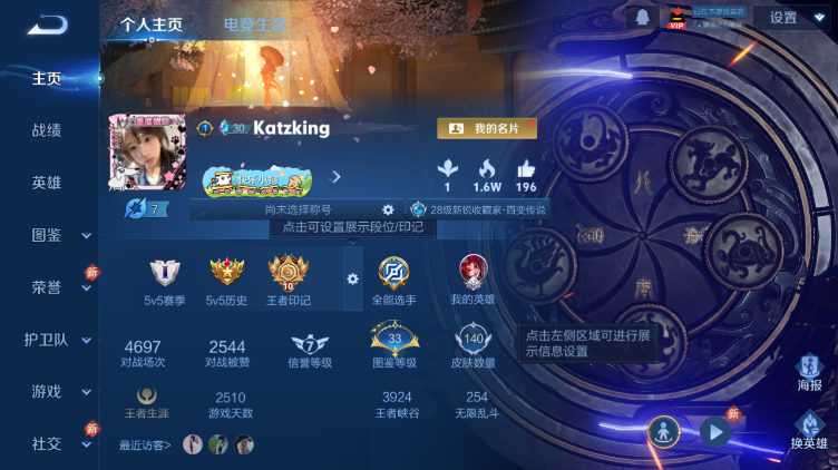 WZQM472022王者荣耀账号详情图2