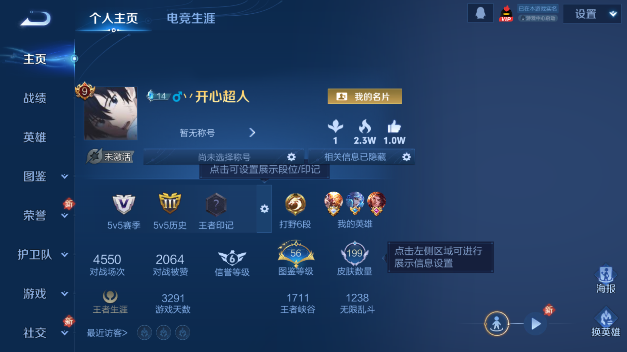 WZQM465425王者荣耀账号详情图2